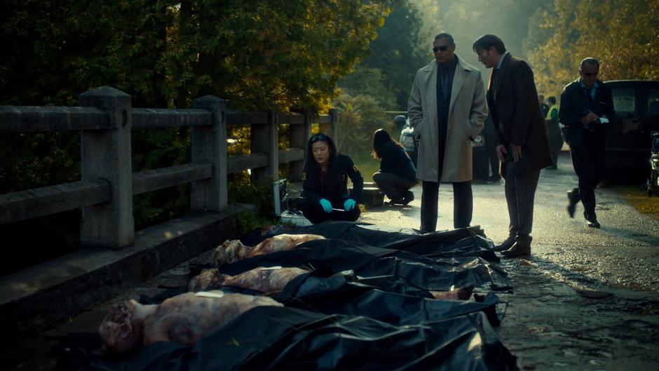 Hannibal - Image 7