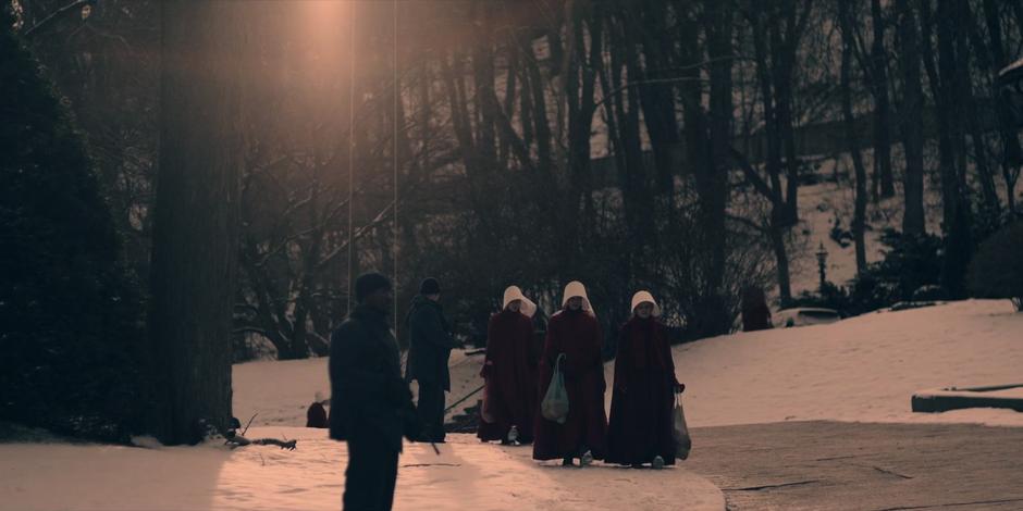 The Handmaid's Tale - Image 3