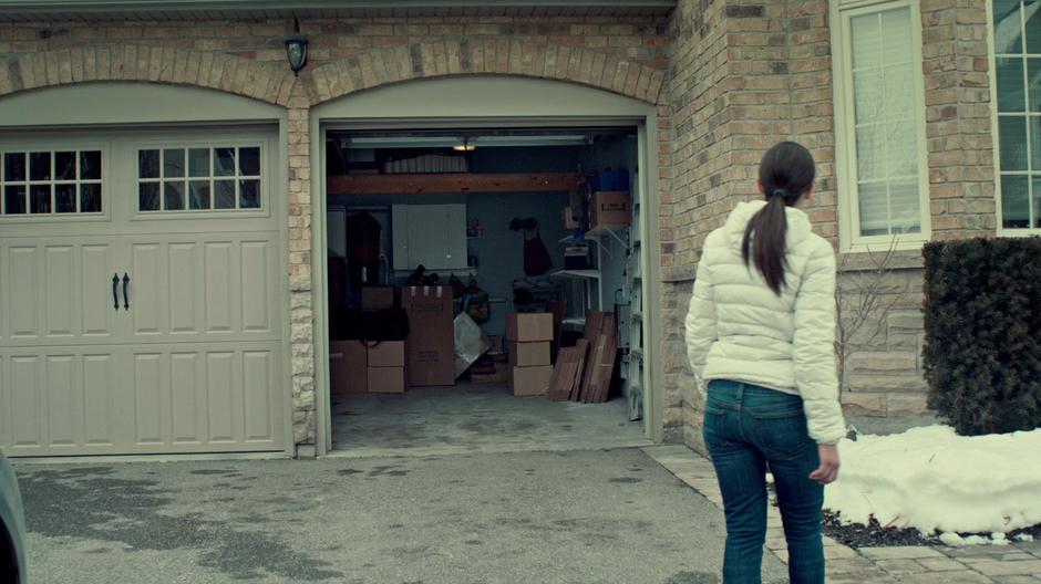 Orphan Black - Image 5
