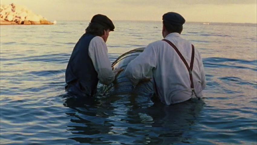 Wonderfalls - Image 3